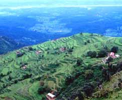 Travel Package Kausani