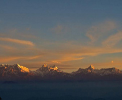 Kausani Honeymoon Tour