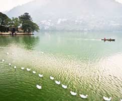 Kausani Tour