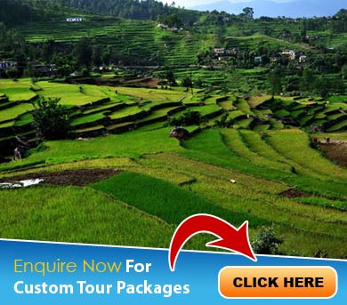 Kausani Tour Packages